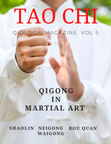 qigong magazine kungfu qiology tao chi academyg