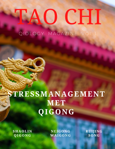 Qigong Magazine Qiology 1