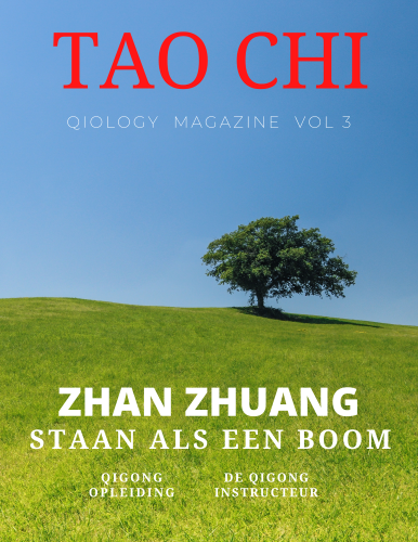 qigong magazine qiology taochi academy