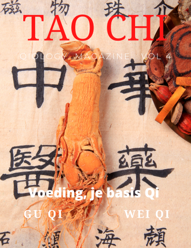 qigong magazine qiology tao chi academy